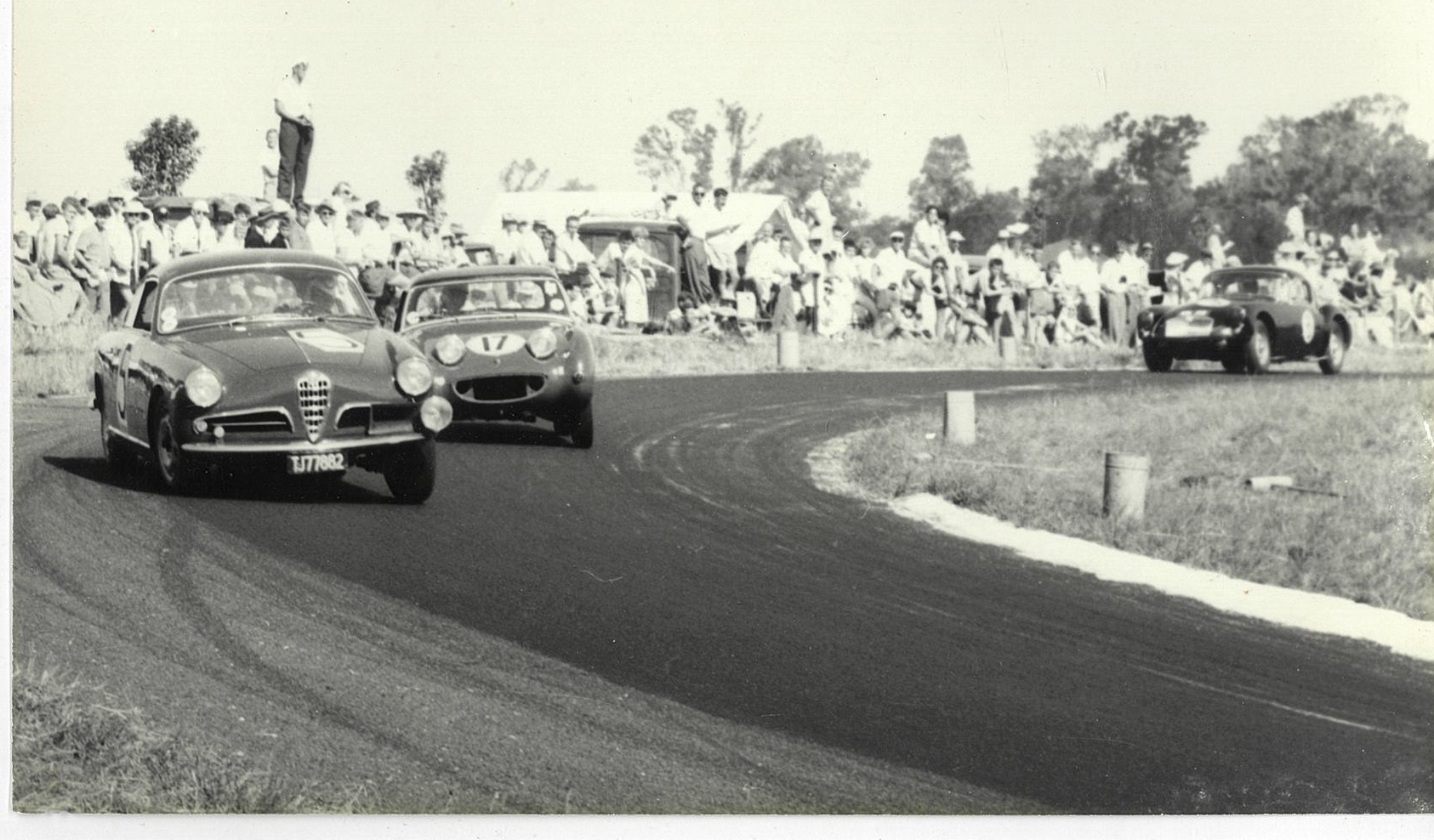 Alfa Romeo on the Circuit